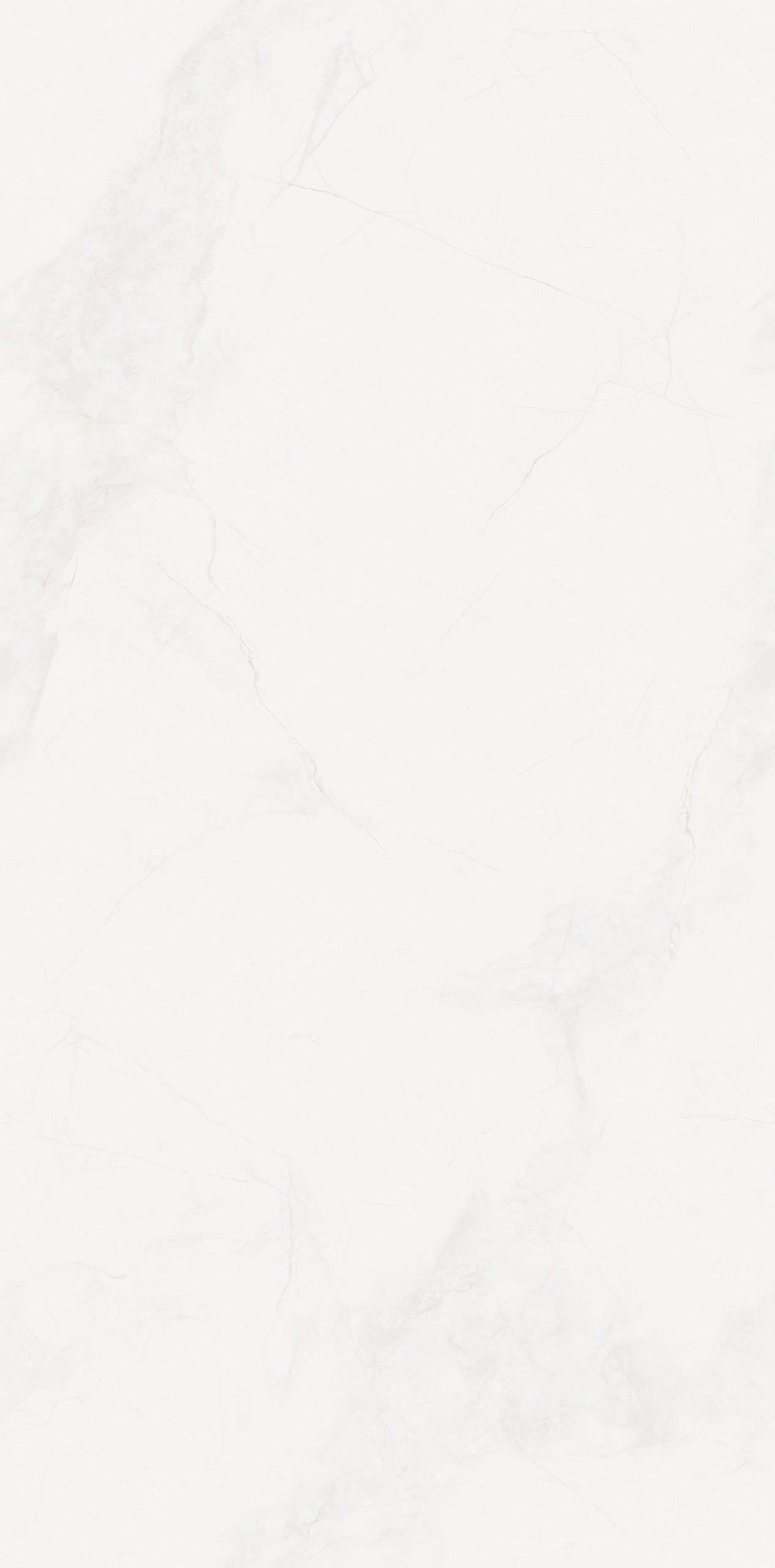 LMJ1890Y17A寒江雪