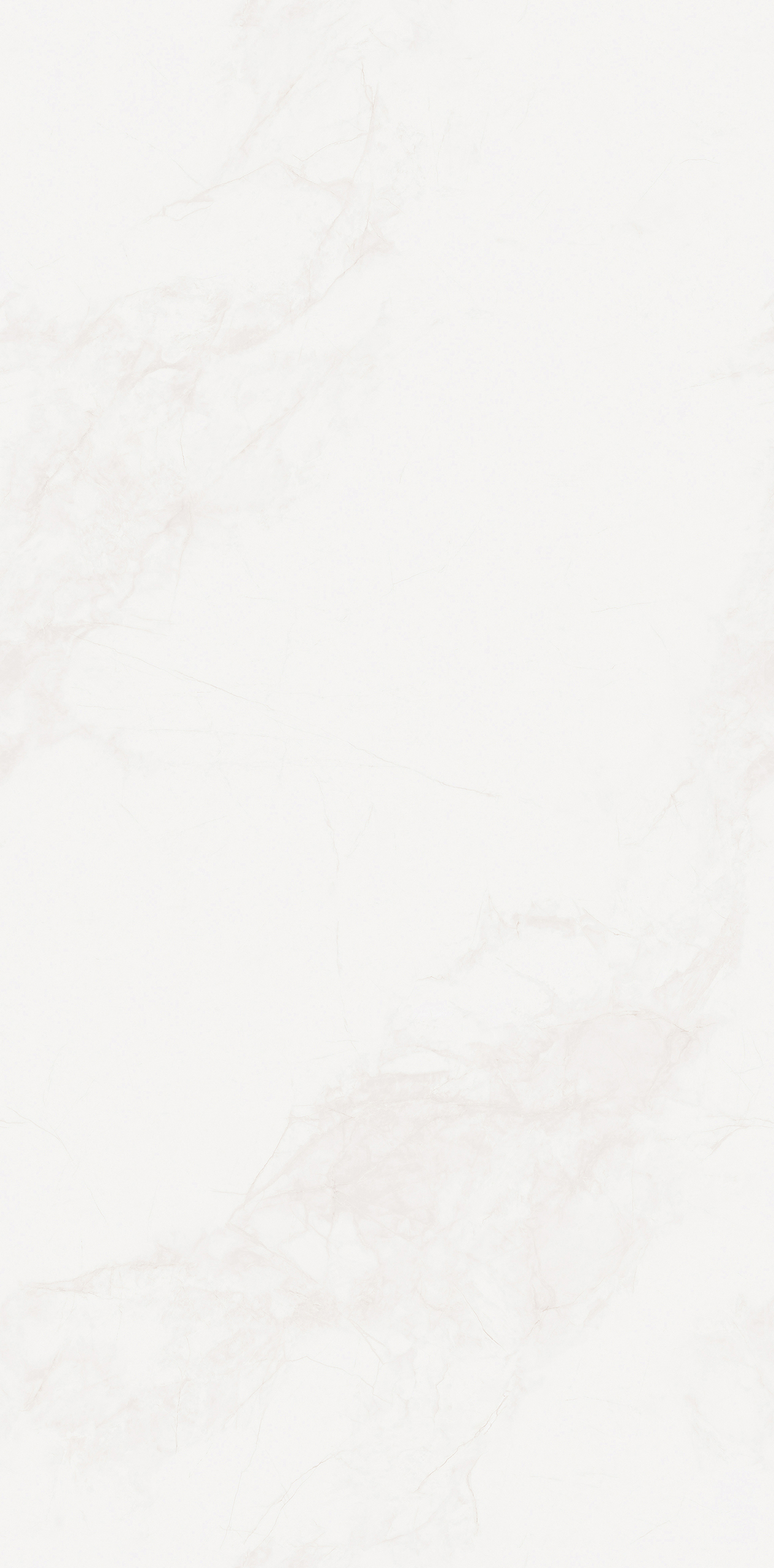 LMJ1890Y17A寒江雪